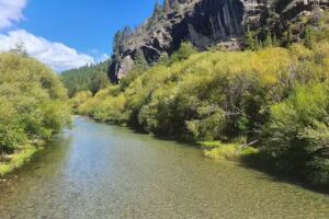 Hostería de Montaña Las Pataguas