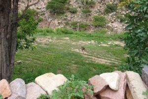 Hostería El Valle Sagrado