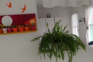 Hostería General Fotheringham