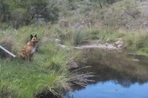 Hosteria La Casona de Calmayo