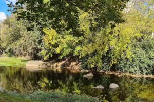 Hosteria Los Manantiales