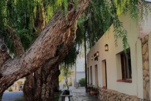 Hostería Tampu Cachi