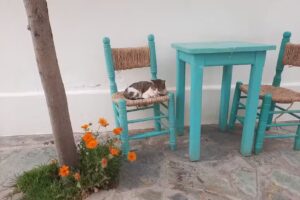 Hosteria Villa Cardon