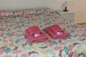 Hotel Balcones del Valle