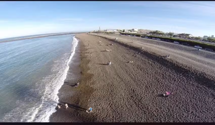 HOTEL CAPRI CALETA OLIVIA