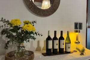 Hotel Casablanca Melo