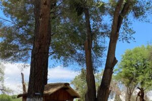 Hotel de Turismo Cielos Del Oeste