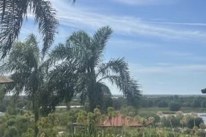 Hotel de Turismo San Pedro S.R.L