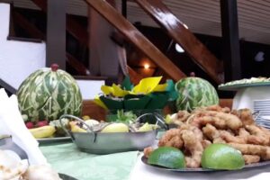 Hotel Fatsa San Bernardo