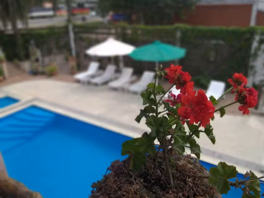 Hotel “Los Brunos” Posada