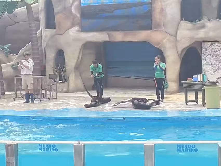 Hotel Los Históricos