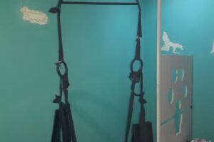 Hotel Mansión Dorée