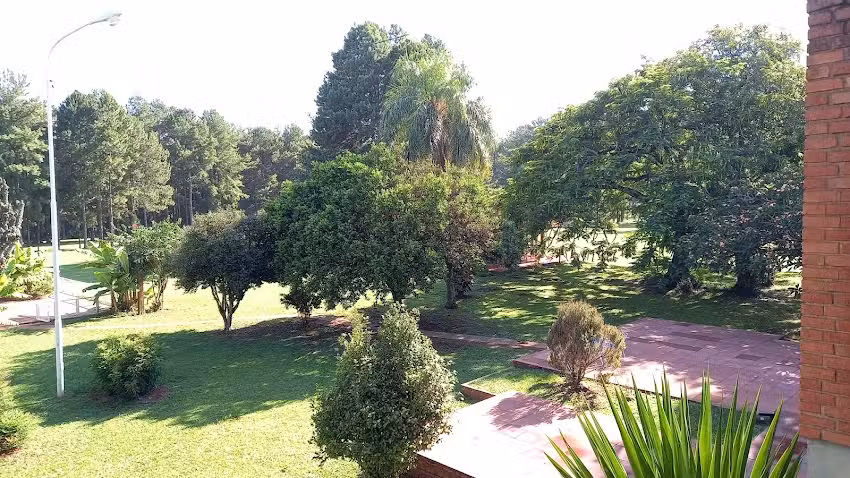 Hotel Papel Misionero