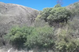 Hotel Residencial Comodoro