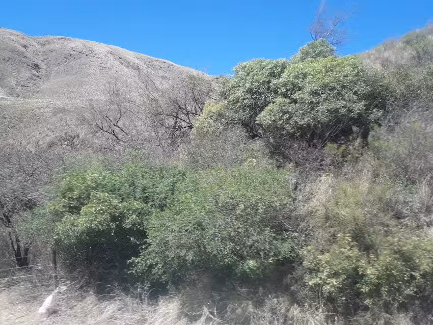 Hotel Residencial Comodoro