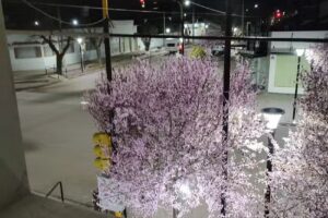 Hotel – Restaurante Paso del Sur