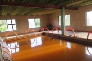 Hotel Termas Los Gauchos