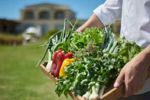 HOTEL TERMAS VICTORIA Wellness Spa