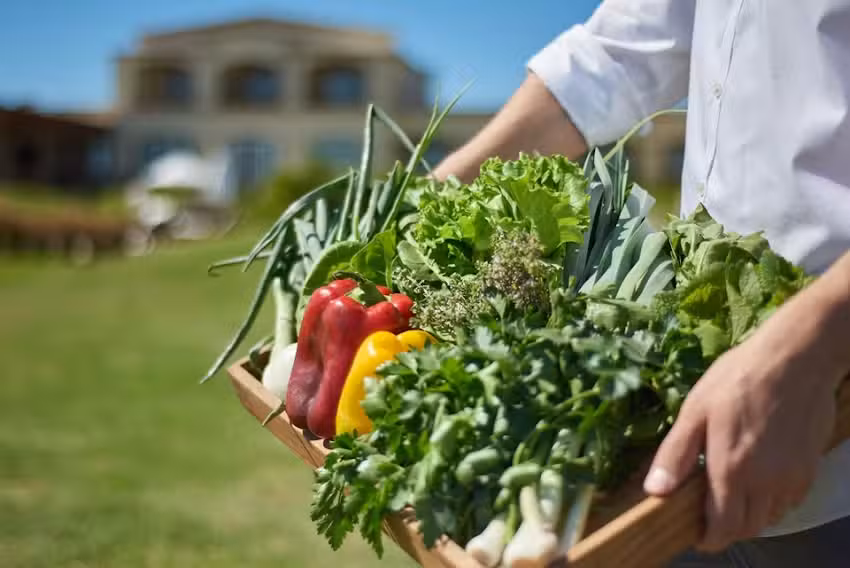 HOTEL TERMAS VICTORIA Wellness Spa