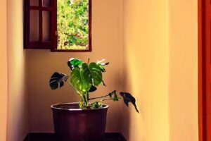 Hotel Umbral de La Luna