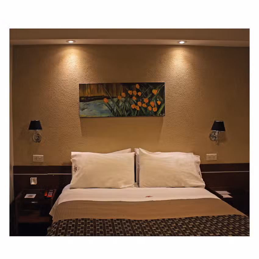 Hotel Viena