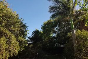 INAMBÚ Casa de Huéspedes