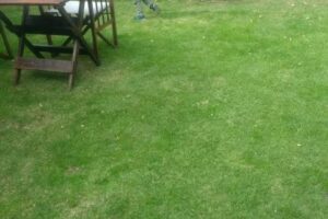 Ines Alquila Casa Necochea