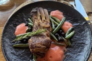 Ingreso Rosell Boher Lodge