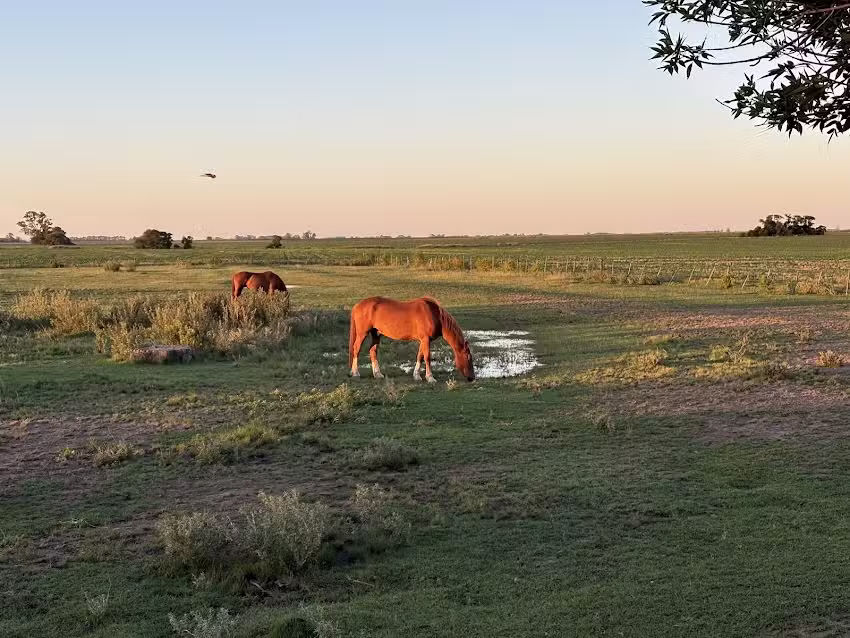 Inti, Hospedaje de Campo