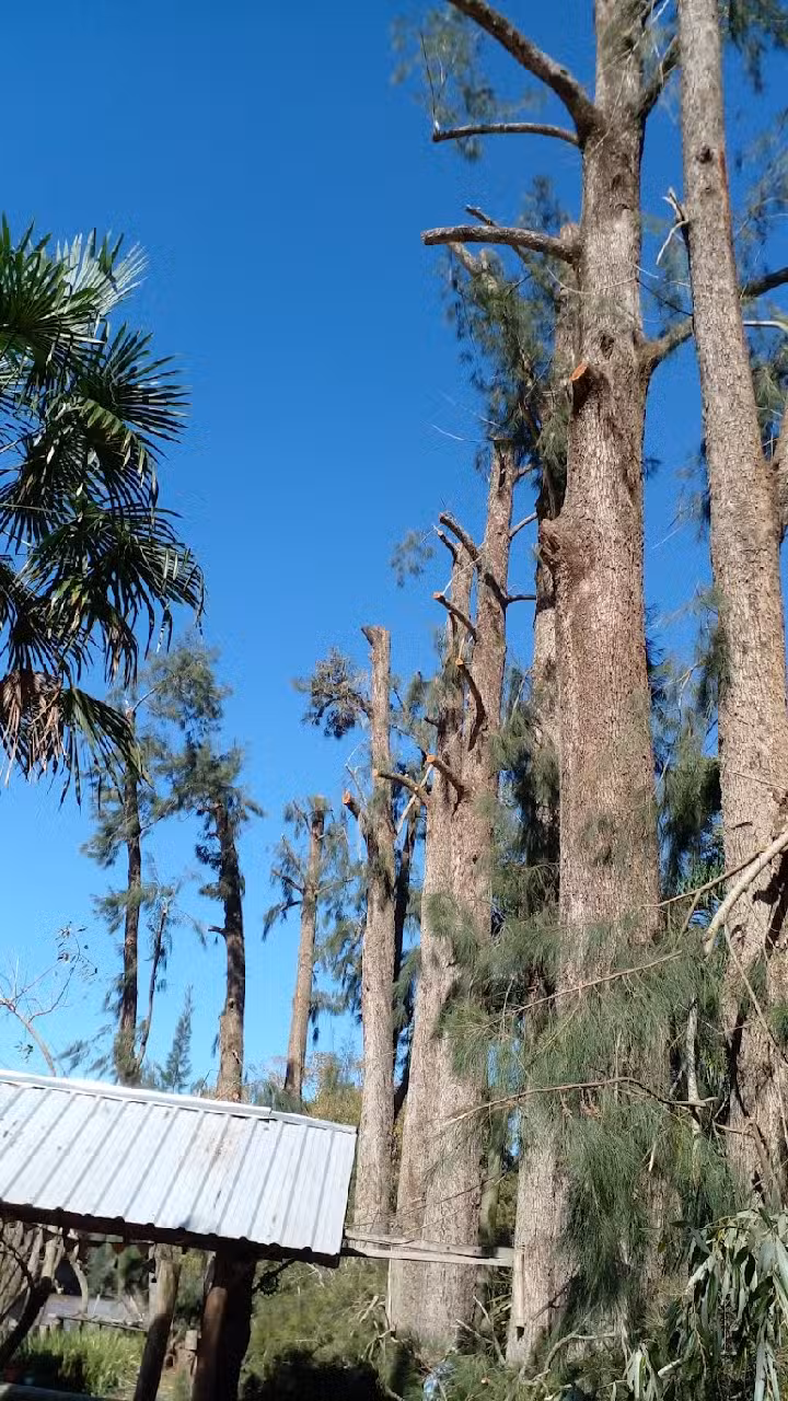 Isla El Picaflor
