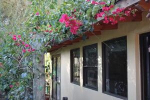 Jacarandá Alojamiento