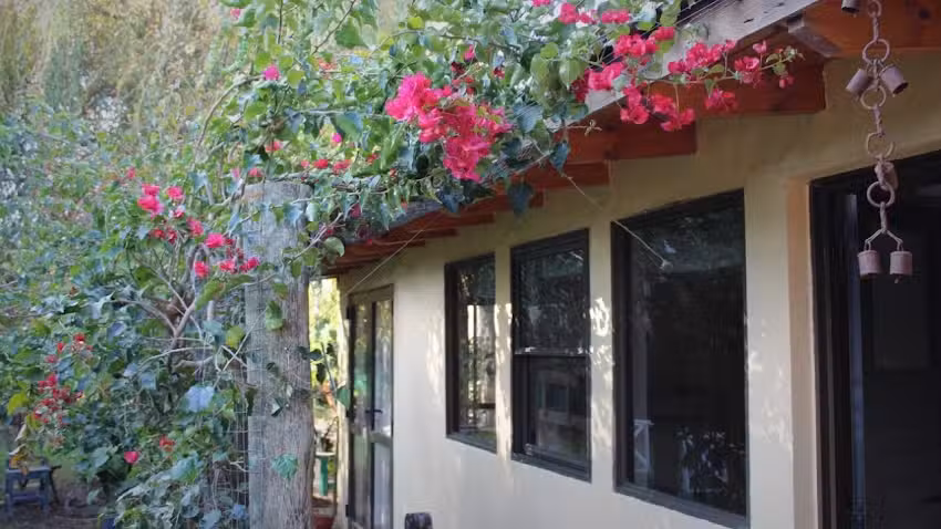 Jacarandá Alojamiento