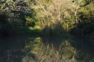 Karadya Birding Lodge and Reserve