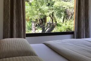 Kingfisher de los Andes