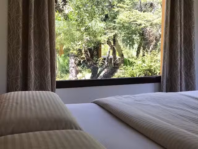 Kingfisher de los Andes