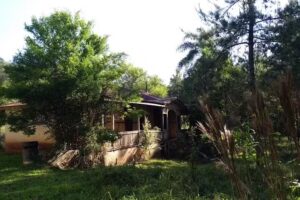 Km 14 Senderos en la Selva