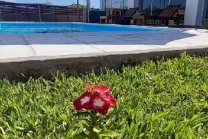 “LA ADELINA”~ Cabaña, Quincho con pileta y salón de eventos