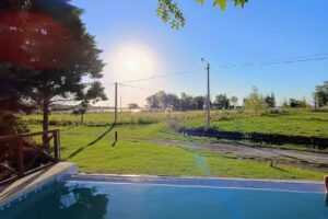 La araucaria San Miguel del Monte