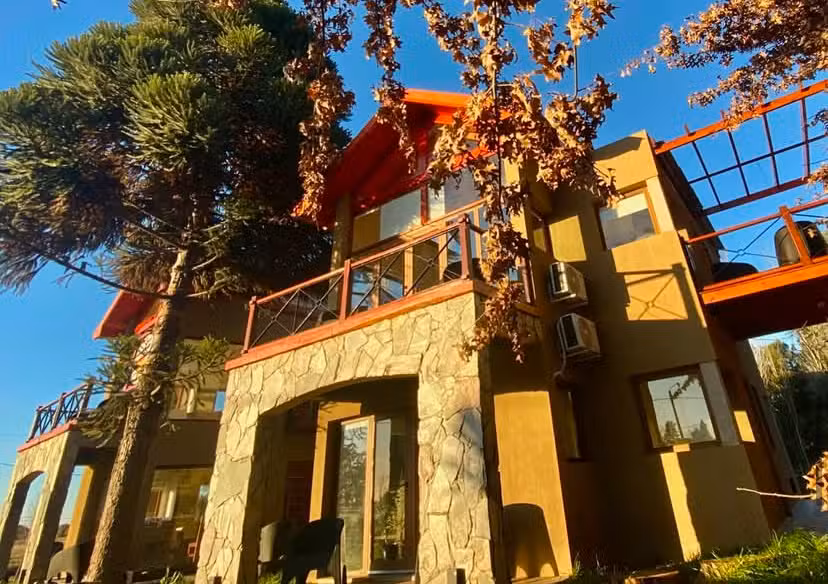 La araucaria San Miguel del Monte