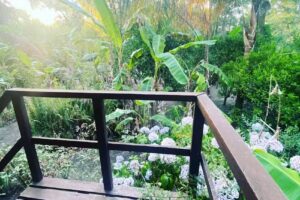 La cabaña de Cabito