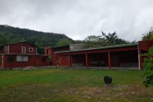 LA CABAÑA (lugar de Paz)