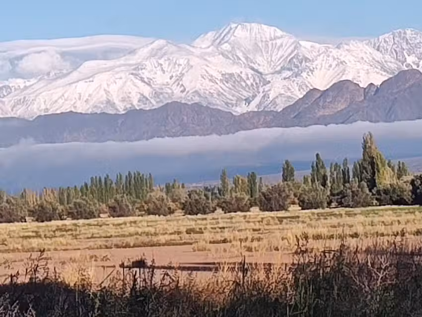 La Cabaña _ Vistalba_ Mza