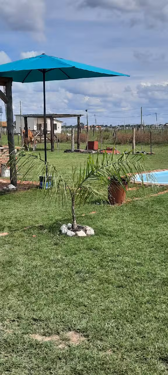 La Cabañita de Domse