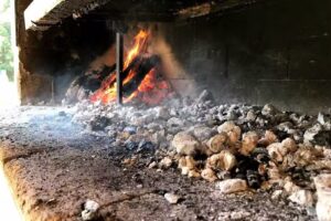 La Calandria Casa de Campo