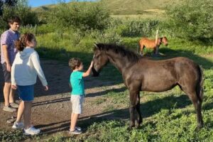 La Carrera Villas – Alojamiento de Montaña Mendoza