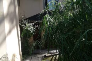 La Casa De Los Peques