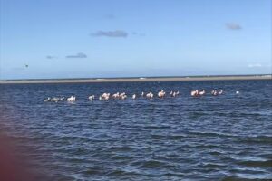 La Casa del Arroyo Reta
