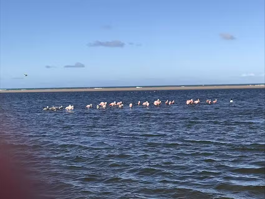La Casa del Arroyo Reta