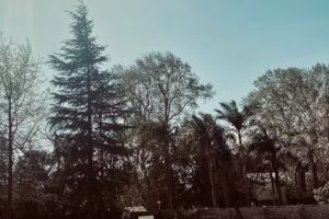 La casa del escritor