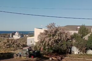 La Casa Del Fondo Del Mar